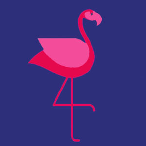 NAVY FLAMINGO