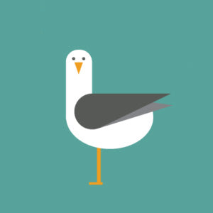 TEAL SEAGULLS