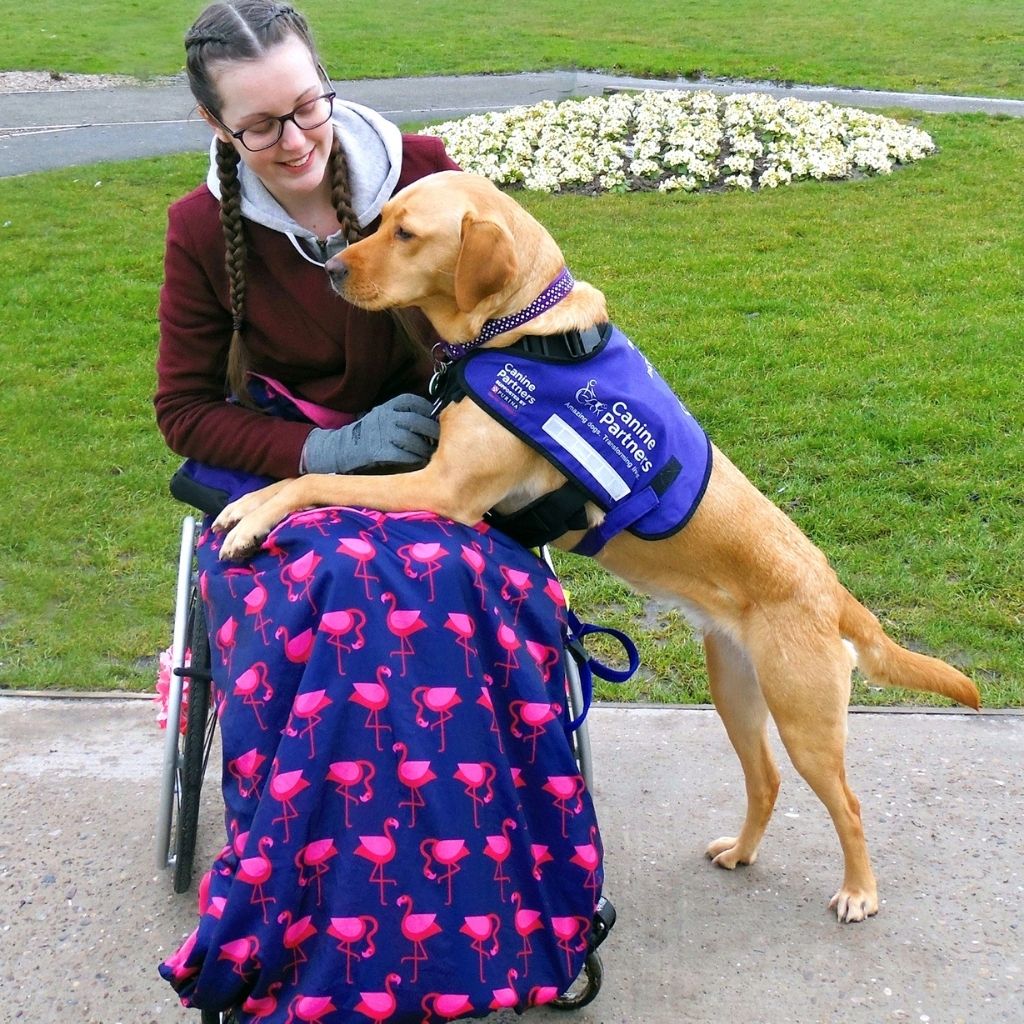 Lauren from Access your life with her assistance dog Fliss in a flamingo Adult fleece-lined and waterproof BundleBean wheelchair cosy